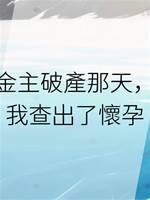 金主破產那天，我查出了懷孕