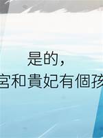 是的，本宮和貴妃有個孩子